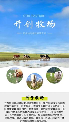 畜牧养殖